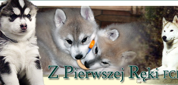http://www.zpr-husky.com/