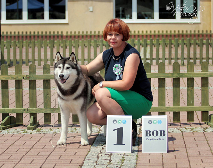 1. �wiebodzice VI 2016 fot. Winter Melody