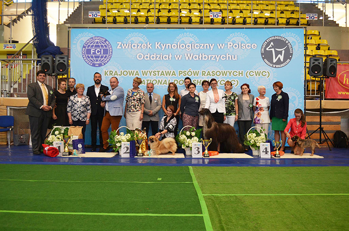 1-�wiebodzice VI 2016 Fot. ZKwP Oddzia� Wa�brzych