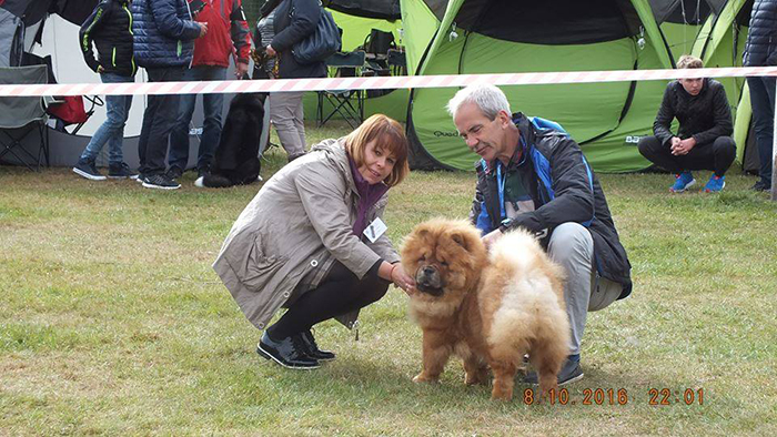 2. Zabrze X 2016 fot. Dominika Dygas