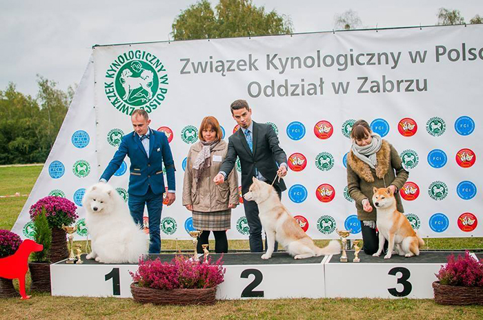 2. Zabrze X 2016 fot. Dominika Dygas