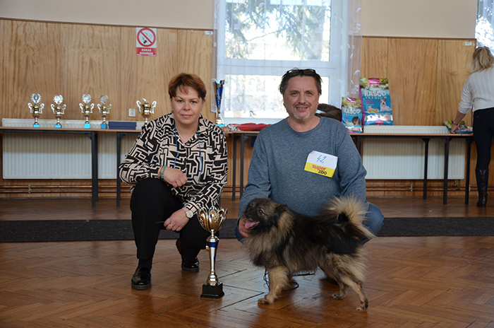 10- 19-2-2022 Klubowa Wystawa Szpic�w KV KCHN� z tytu�em Zw.Klubu 2022 HOSTOU� k. Pragi Czechy