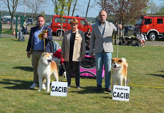 Mi�dzynarodowa Wystawa Ps�w Rasowych w Babimo�cie Oddzia� Zielona G�ra, 30-4-1-5-2022