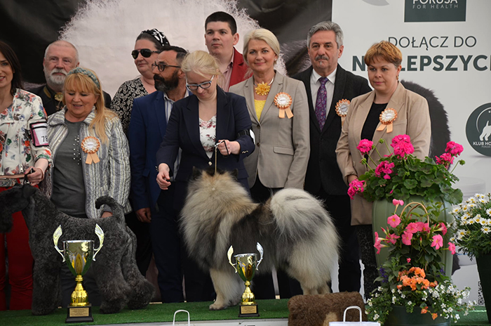 12-Mi�dzynarodowa Wystawa Ps�w Rasowych w Babimo�cie Oddzia� Zielona G�ra, 30-4-1-5-2022