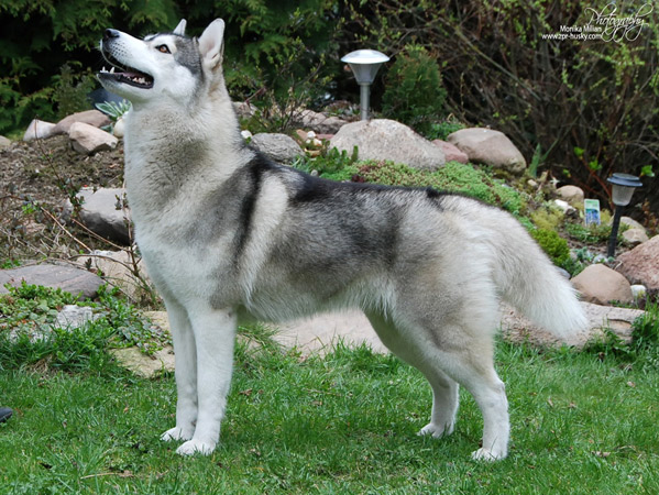 Photo by Monika Milian