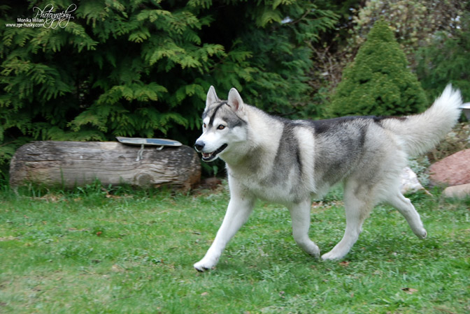 Photo by Monika Milian