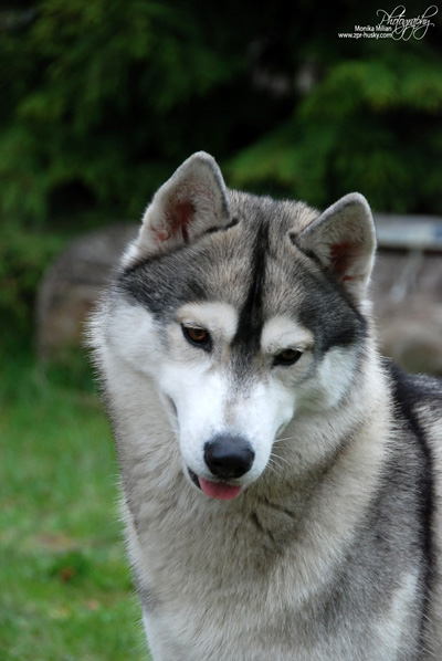 Photo by Monika Milian