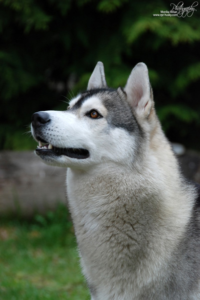 Photo by Monika Milian