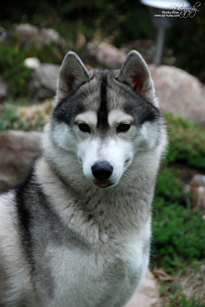 Photo by Monika Milian