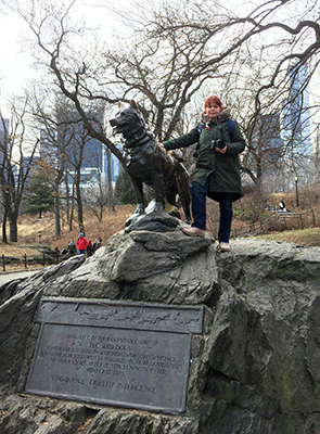 Pomnik Husky BALTO - Central Park - Nowy Jork 2018