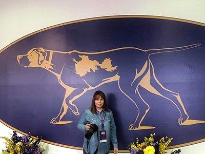 WESTMINSTER DOG SHOW - Nowy Jork 2018