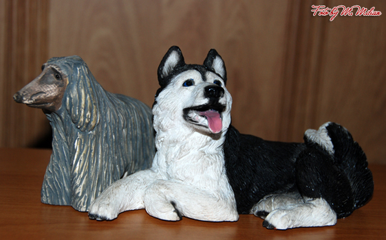 SIBERIAN HUSKY � ZPR