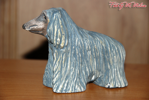 SIBERIAN HUSKY � ZPR