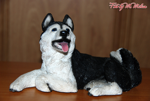 SIBERIAN HUSKY � ZPR