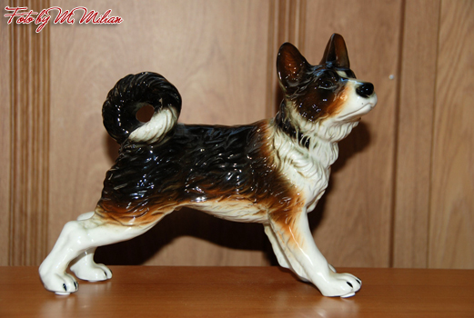 SIBERIAN HUSKY � ZPR