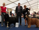 �wiatowa Wystawa SALZBURG - Austria 2012 - HORTENSJA z Francuskiej Ulicy - CACA, CACIB, WORLD WINNER 2012