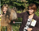 Klubowa Wystawa Briard�w i Beauceron�w WROC�AW 2011 - HORTENSJA z Francuskiej Ulicy - Zw. Klubu 2011, BOB, BEST IN SHOW
