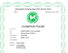 Champion Polski