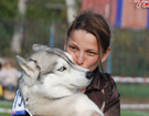 SIBERIAN HUSKY � ZPR