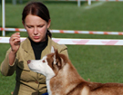 SIBERIAN HUSKY � ZPR