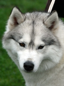 PANDORA Mountain Stream Fot. Monika Milian