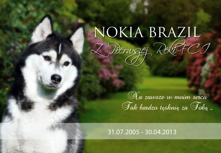 NOKIA BRAZIL Z Pierwszej R�ki FCI