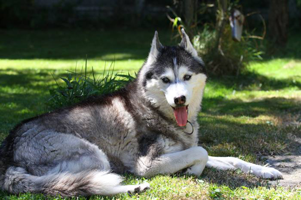 CALIFORNIA DREAM fot. Miros�awa Rzepkowska