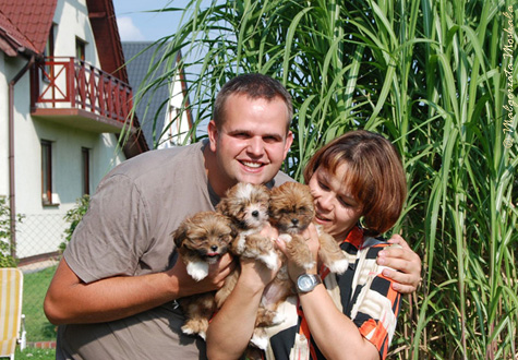 MYS�OWICE 2009 � ZPR