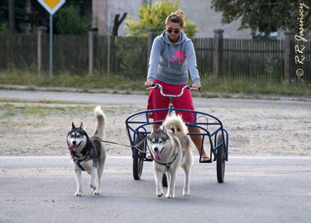 MAGIC & OSKAR Z Pierwszej R�ki FCI