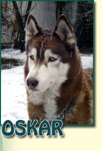 OSKAR