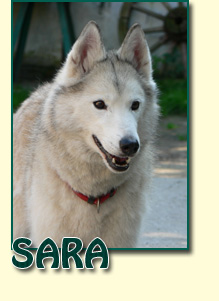 Sara