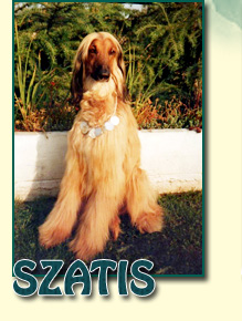 SZATIS